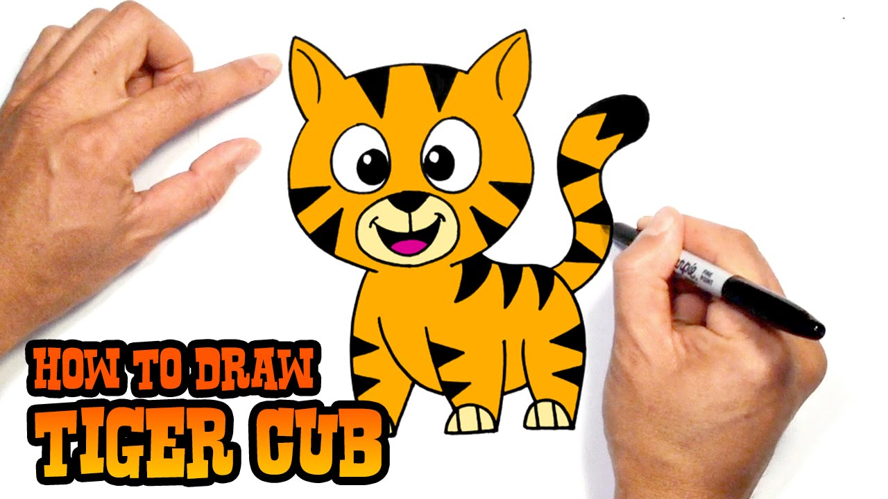 How to Draw a Tiger | Drawing Lesson for Beginners