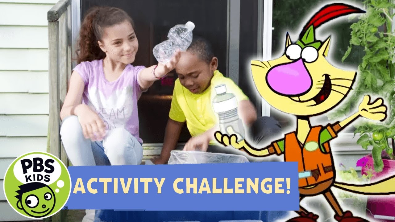 Activity Challenge! | Nature Cat's Litter Crusade Brigade! | PBS KIDS