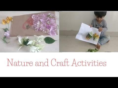 Educational videos for preschoolers|Nature Activity|Crafts for kids| Toddler videos|