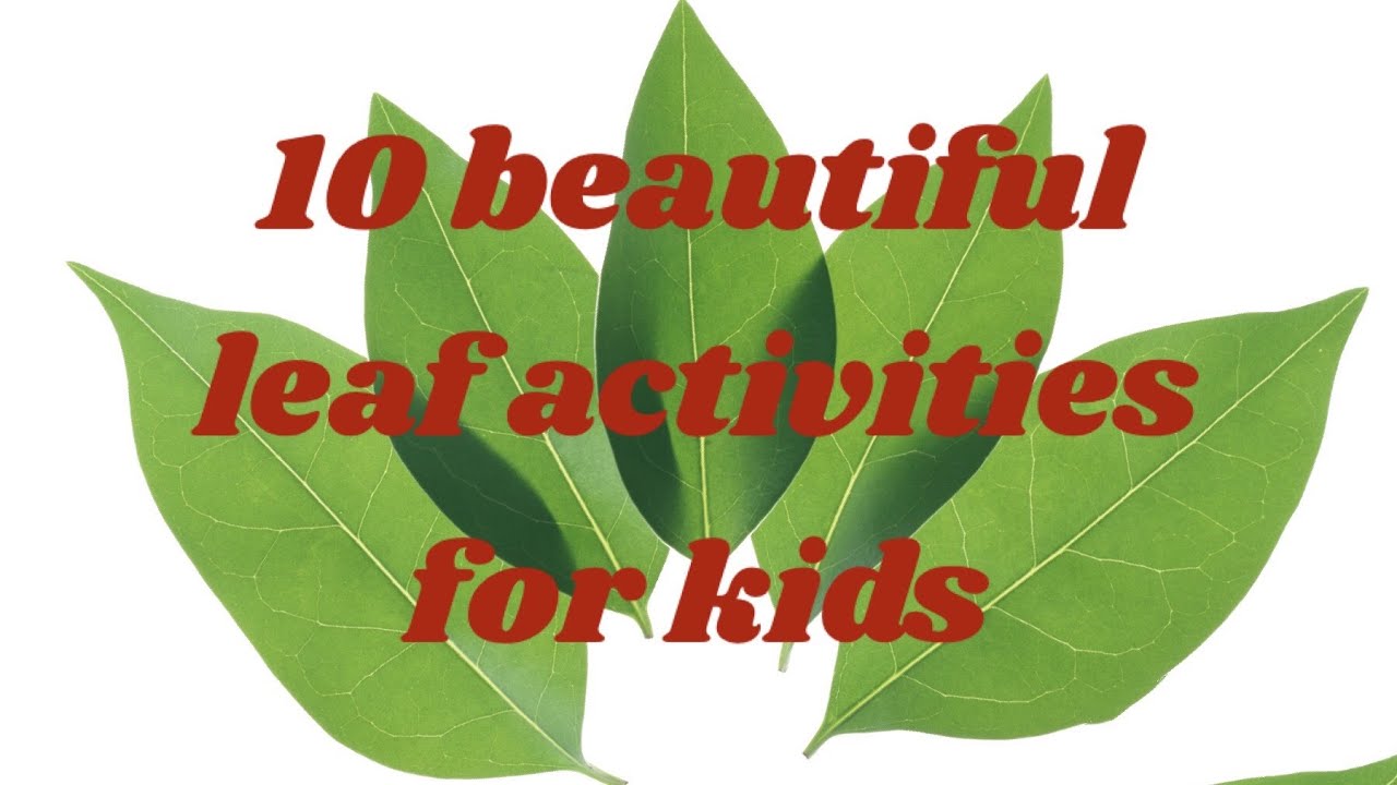 Leaf Activities for kids / Easy leaf craft ideas / craft from leaves