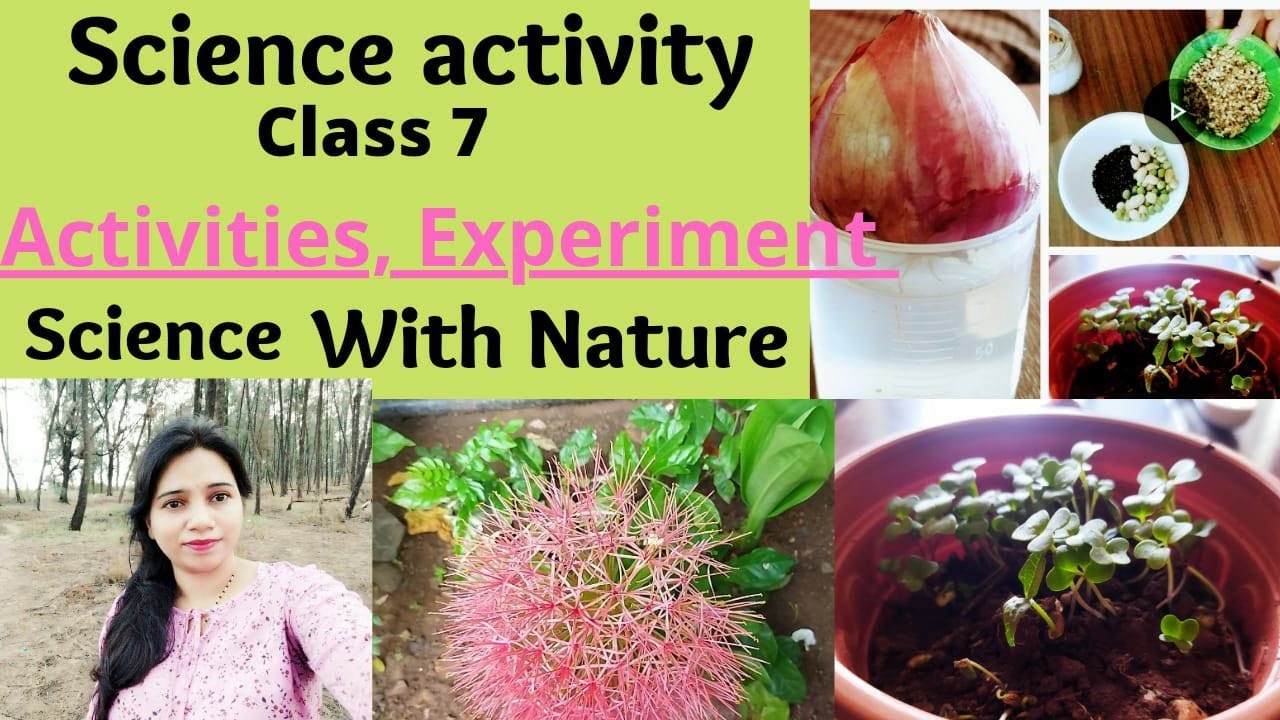 science activities class 7| plant activity for kids|plant structure & function| Science with nature