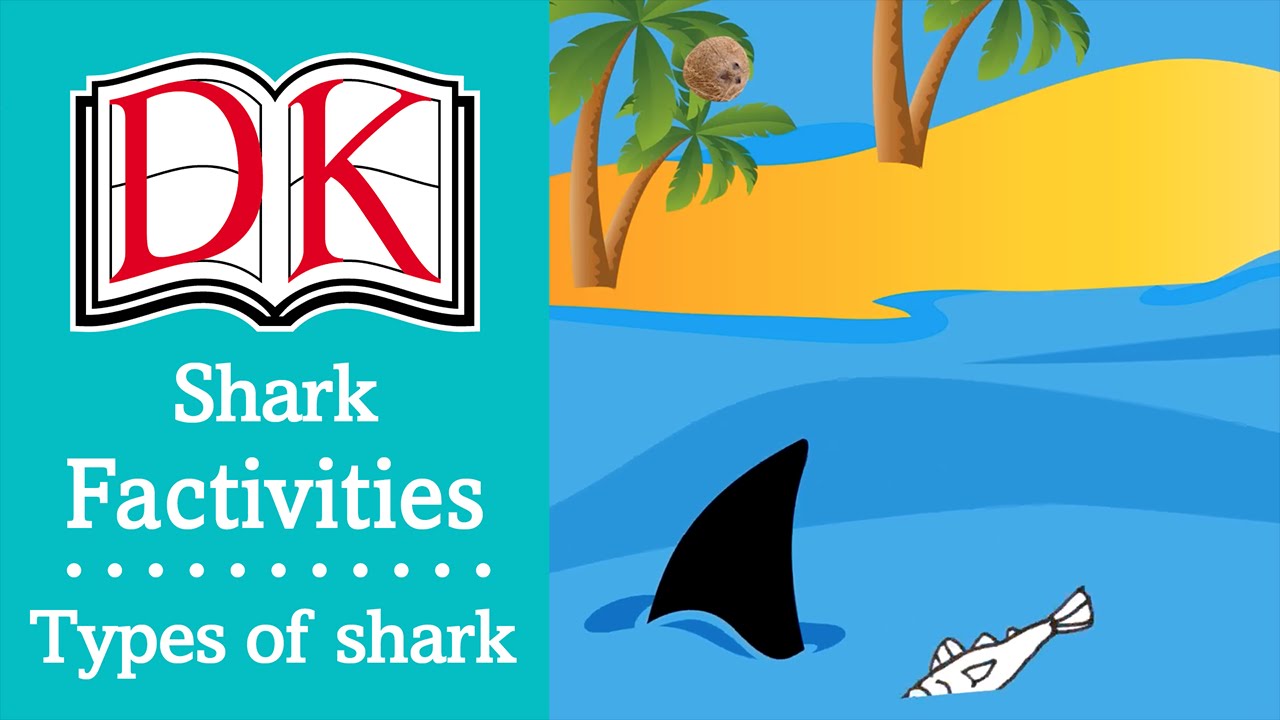 Activities for Kids: Shark Facts