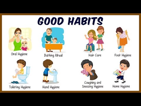 Daily Activities For Kids | Good Habits And Manners For Kids | Preschool Learning For Kids