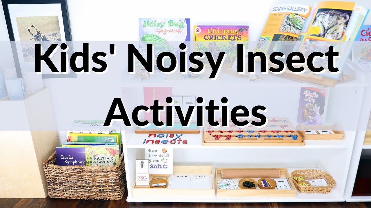 Kids' Noisy Insect Activities, Books, and Montessori Shelves