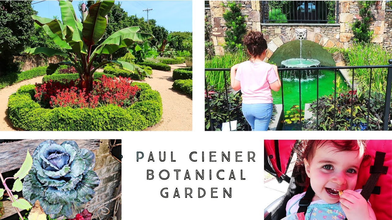Paul Ciener Botanical Garden Tour: Winston Salem Parks, Kid's Activities