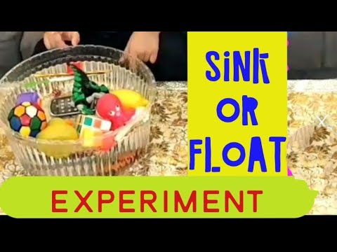 Sink or float science experiment for kids || Educational video for kids || Activity for kids
