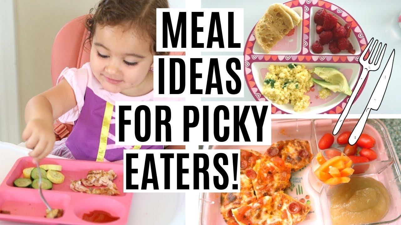 WHAT MY TODDLER EATS IN A DAY | TODDLER MEAL IDEAS FOR PICKY EATERS!