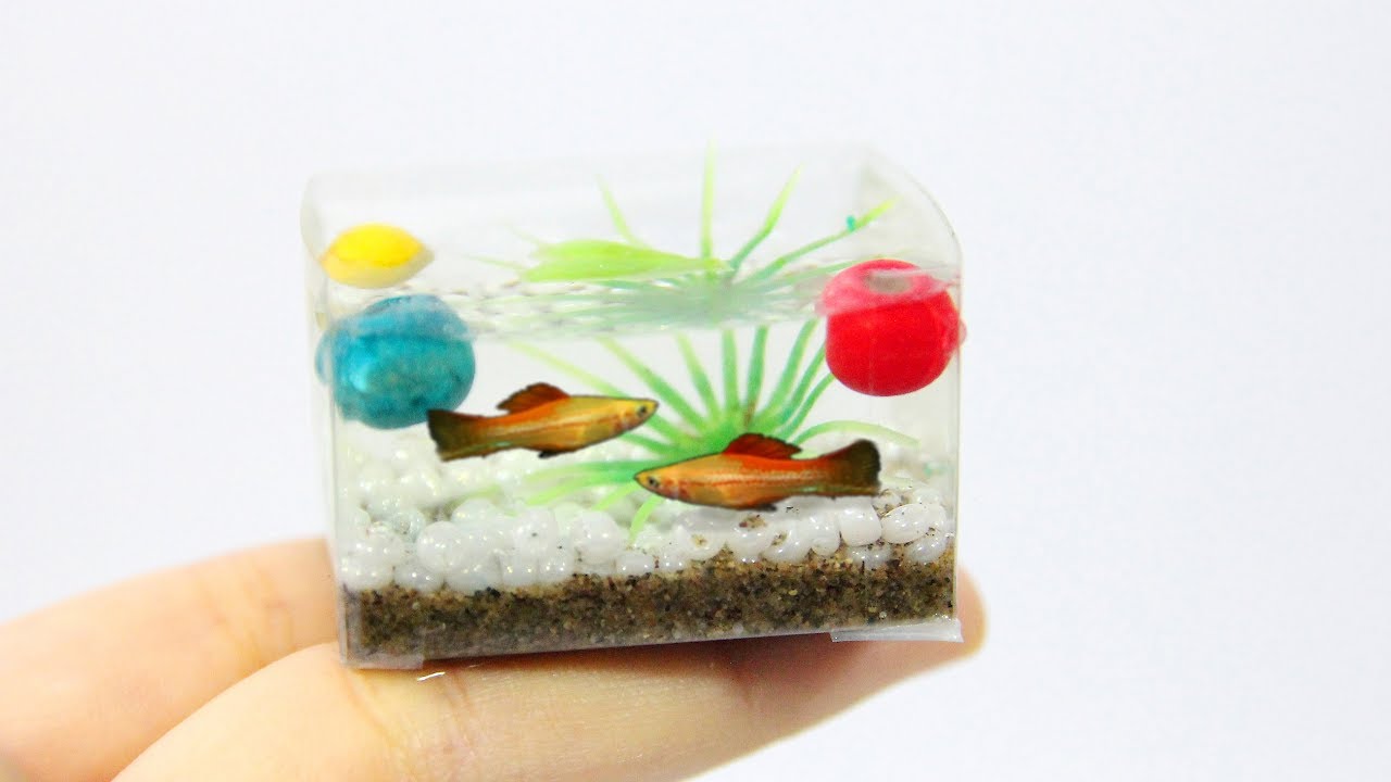Cool Mini Aquarium Ideas For Kid- DIY Hamster