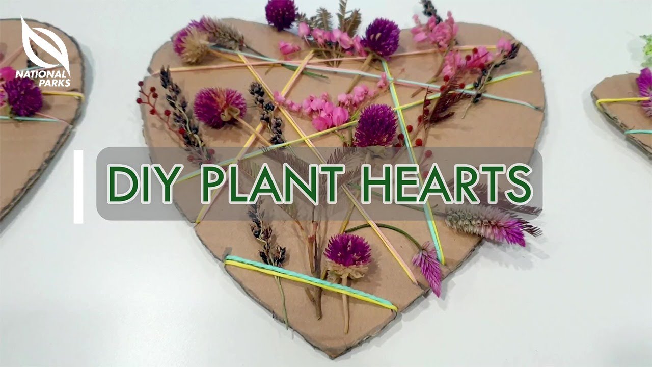 DIY Plant Hearts | Gardeners' Day Out Kid's Activities