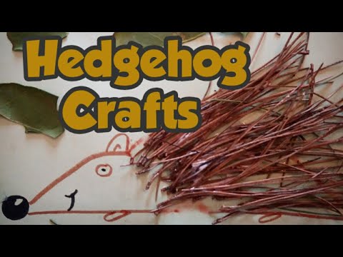 Hedgehog Craft - Diy hedgehog house - Garden Crafts - natural crafts - kid craft ideas - easy crafts