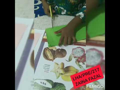 Little Hands Activities (Art & craft for kids)01st round 👉 Activity 05 @Zeenoor Kids