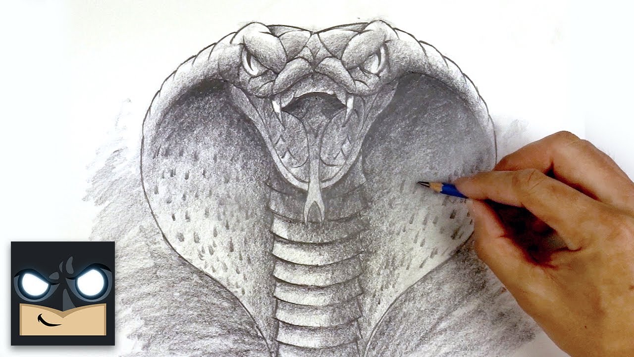 How To Draw A Cobra | Sketch Sunday