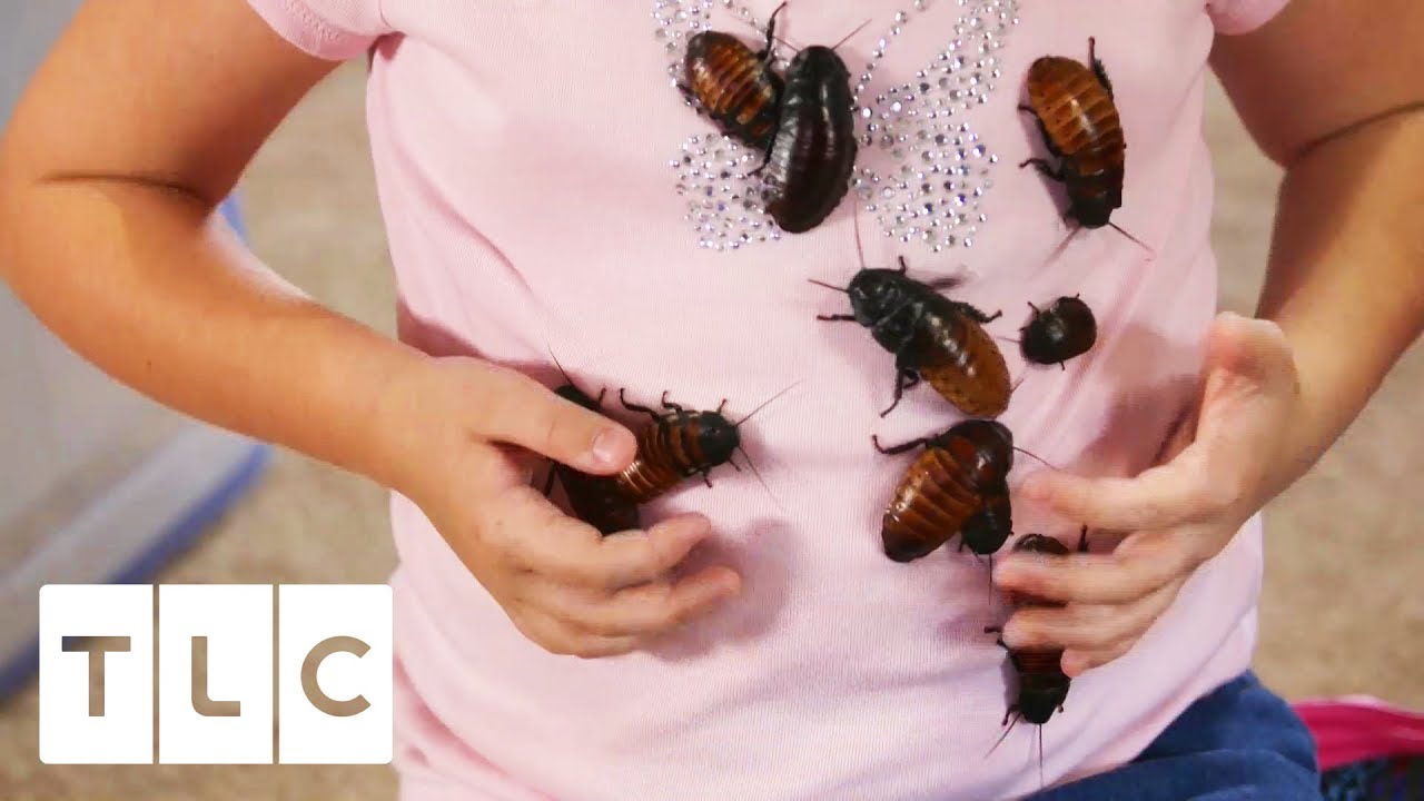 The Girl Who Collects Cockroaches | My Kid's Obsession